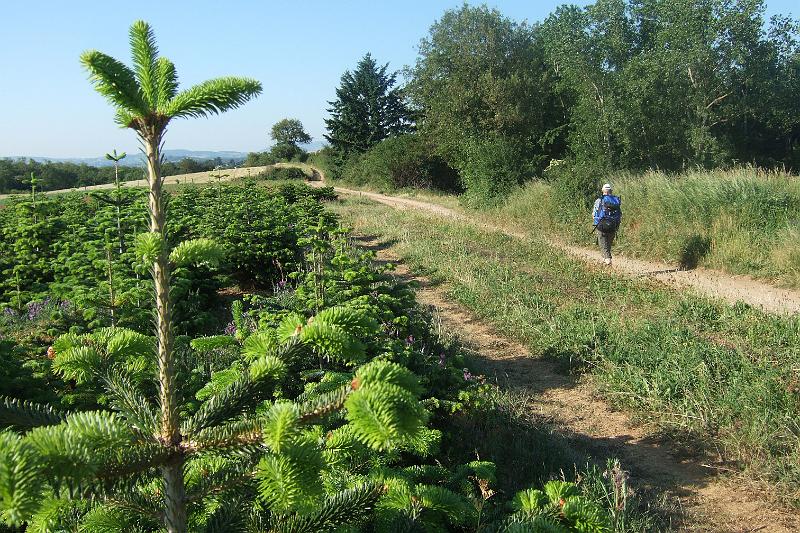 2011-05- (235).JPG